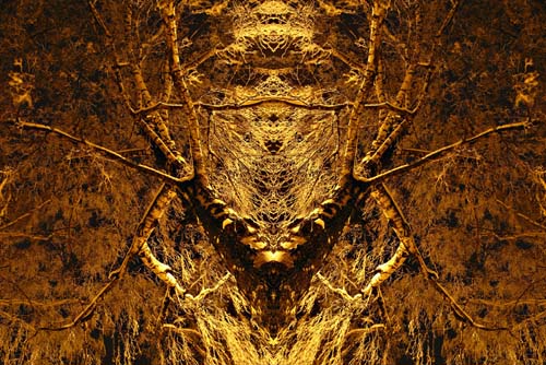 noc01